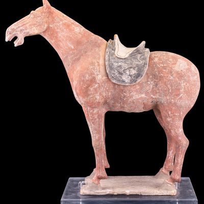Sale Photo Thumbnail #383: Tang Dynasty Large Chinese Terracotta Tomb Horse