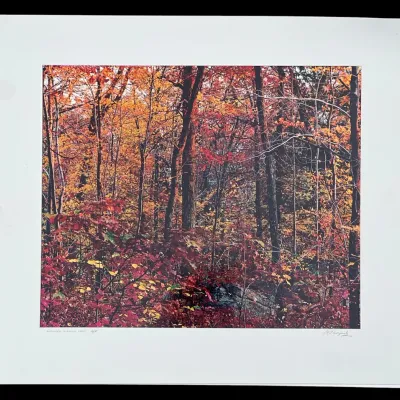 Sale Photo Thumbnail #507