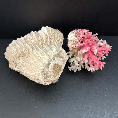 LOT 108: Nautical Collection of Seashell Ships, Meico Paul Sebastian "Fishing w/Grandfather" Porcelain Figurine, Large Corals...