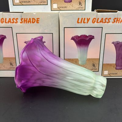 LOT 103: Lily Glass Replacement Shades Like New in Box - 6 Pieces
