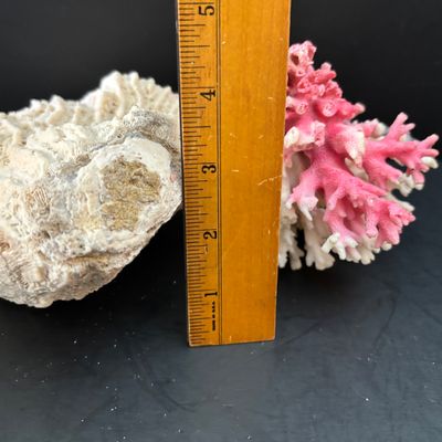 LOT 108: Nautical Collection of Seashell Ships, Meico Paul Sebastian "Fishing w/Grandfather" Porcelain Figurine, Large Corals...