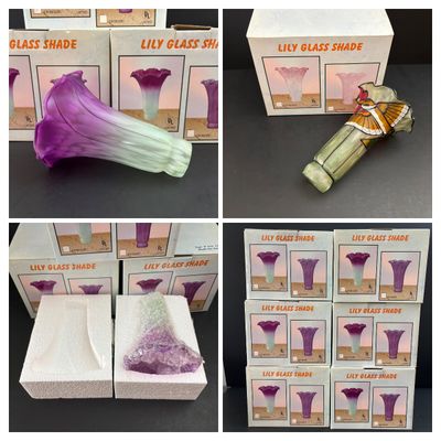 LOT 103: Lily Glass Replacement Shades Like New in Box - 6 Pieces