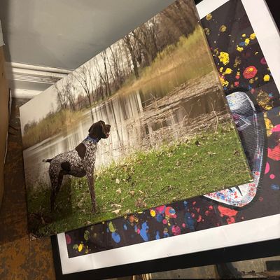 Sale Photo Thumbnail #68