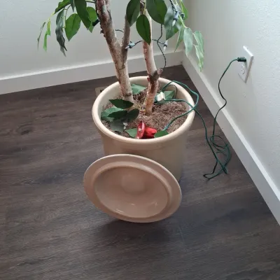 Sale Photo Thumbnail #189: Artificial ficus tree in stoneware crock second image