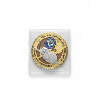 Sale Photo Thumbnail #82: Th reconnaissance squadron challenge coin