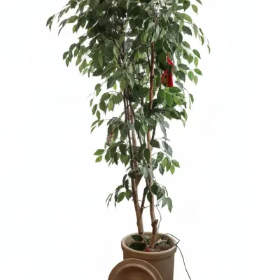 Sale Photo Thumbnail #190: Artificial ficus tree in stoneware crock