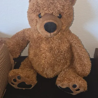 Sale Photo Thumbnail #13: Kohl s cares plush teddy bear