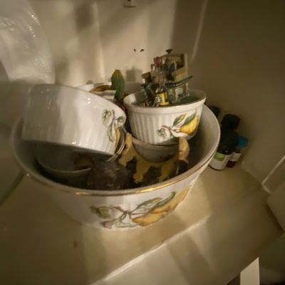 Sale Photo Thumbnail #240