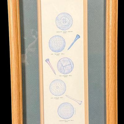Sale Photo Thumbnail #22: Framed Golf Ball Evolution Print