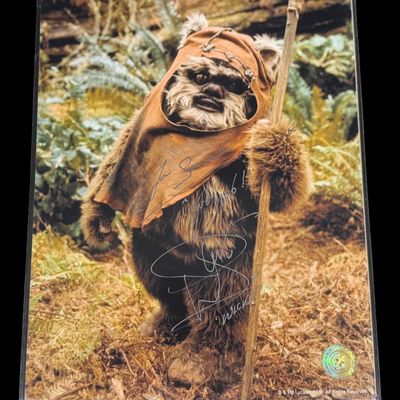 Sale Photo Thumbnail #338: Signed Wicket Photograph with COA