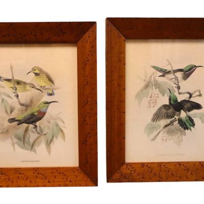 Sale Photo Thumbnail #140: Pair Vintage John Gould Bird Prints Maple Frames
