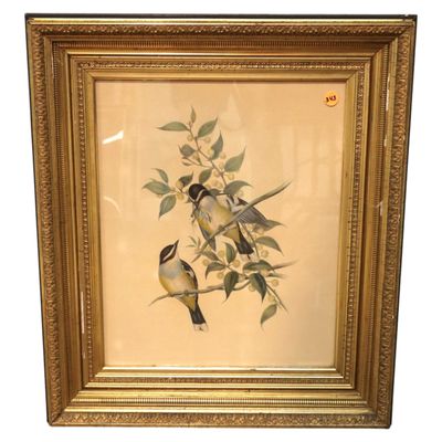 Sale Photo Thumbnail #151: Antique frame Audubon print framed