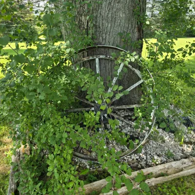 Sale Photo Thumbnail #42