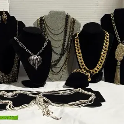CJ233 Ladies Costume Jewelry - Long Necklaces