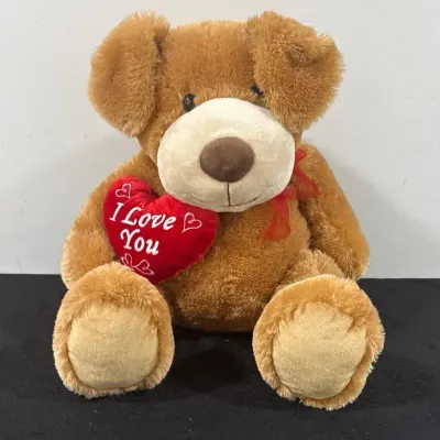 CJ200 Large Teddy Bear With Valentines