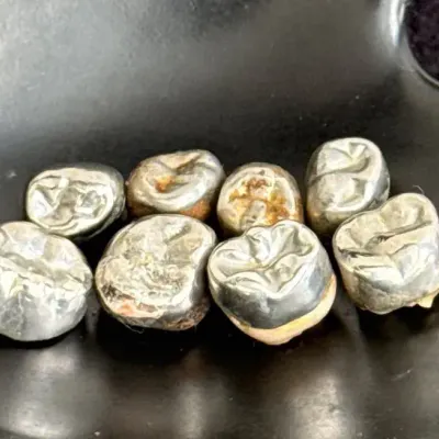 Sterling Silver Fillings * Total Weight 7.57g