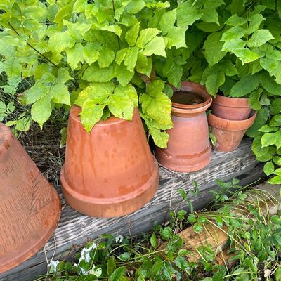Sale Photo Thumbnail #225: Pots