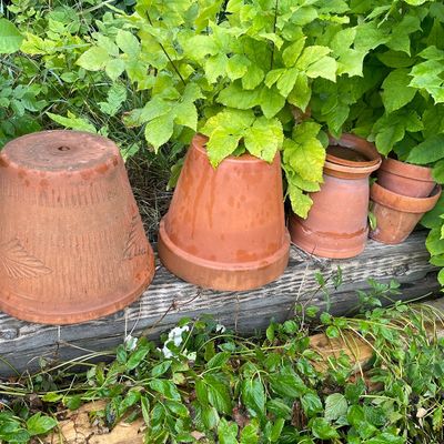 Sale Photo Thumbnail #223: Pots