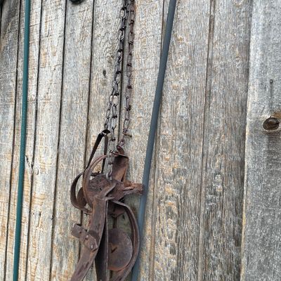 Sale Photo Thumbnail #231: And metal decor
