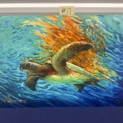 “Escape” Turtle Image Mounted on metal by Dennis Matthewson Signed Numbered with COA