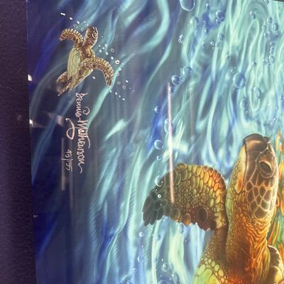 “Escape” Turtle Image Mounted on metal by Dennis Matthewson Signed Numbered with COA