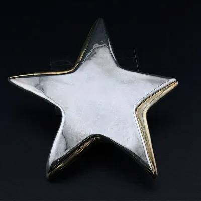 Bat Ami Sterling Silver Star Brooch/Pin