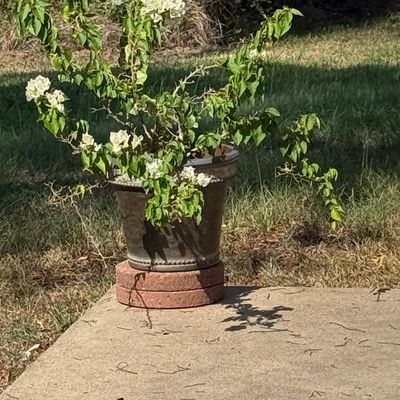 Sale Photo Thumbnail #165: Vintage Hammered Metal Garden Planter