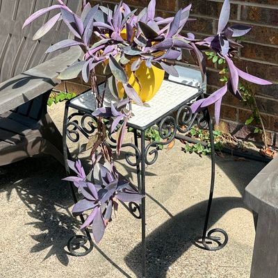 Sale Photo Thumbnail #253: Wrought Iron Mosaic Tile Plant Stand