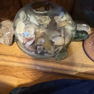 Sale Photo Thumbnail #320: Vintage Glass Turtle Shell Terrarium with Seashells