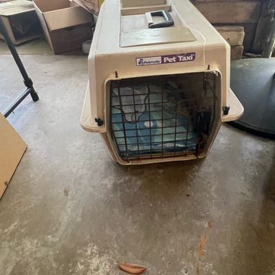 Sale Photo Thumbnail #350: Petmate Pet Taxi Kennel