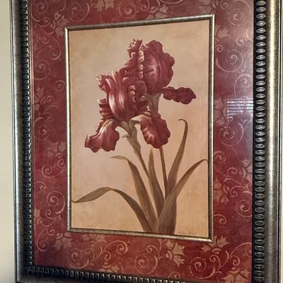 Sale Photo Thumbnail #329: Floral Iris Botanical Print by Vivian Flasch in Ornate Frame