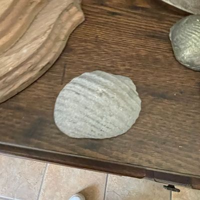 Sale Photo Thumbnail #387: Fossilized Shell