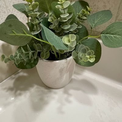 Sale Photo Thumbnail #532: Artificial Eucalyptus Plant in Textured Ceramic Pot