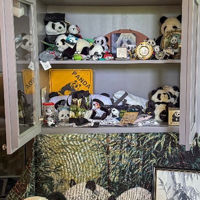Large panda collection displayed in a glass front cabinet at a Bellevue Estate Sale. The collection includes stuffed pandas figurines...