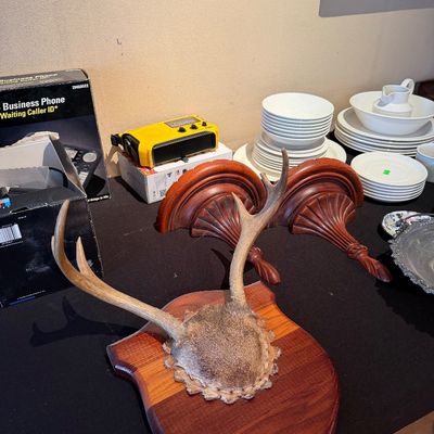 Sale Photo Thumbnail #79