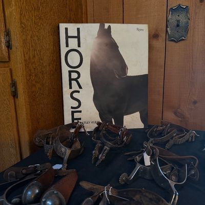 Sale Photo Thumbnail #23