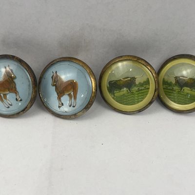 Sale Photo Thumbnail #146: Set 4 Horse & Longhorn Bridle Rosettes