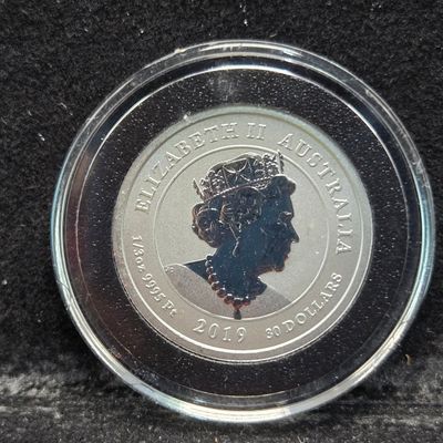 Sale Photo Thumbnail #318: 2019 Australia Bottlenose Dolphin 1/3 oz. .9995 Platinum Coin - UNC