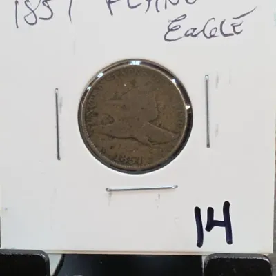 Sale Photo Thumbnail #14