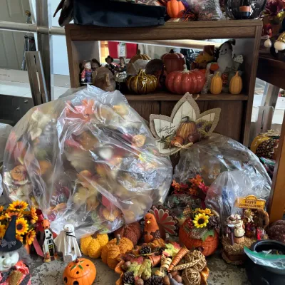 Halloween and Thanksgiving Decorations
