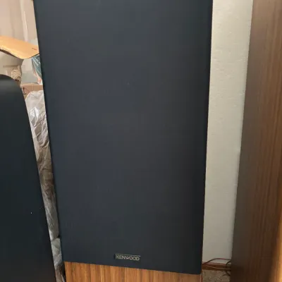 Two Kenwood Speakers