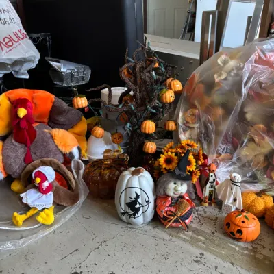 Halloween and Thanksgiving Decorations