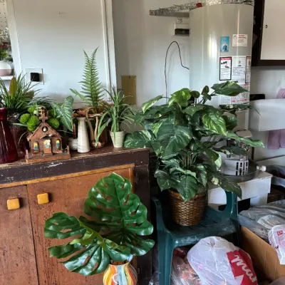 Home Decor
