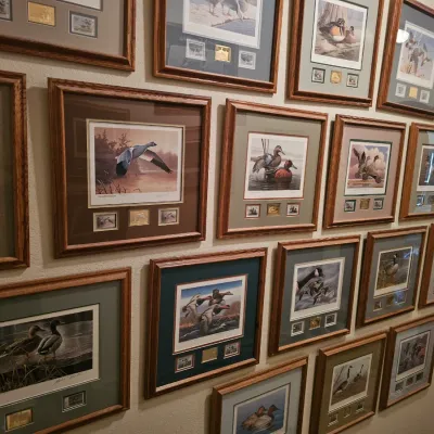 Sale Photo Thumbnail #143