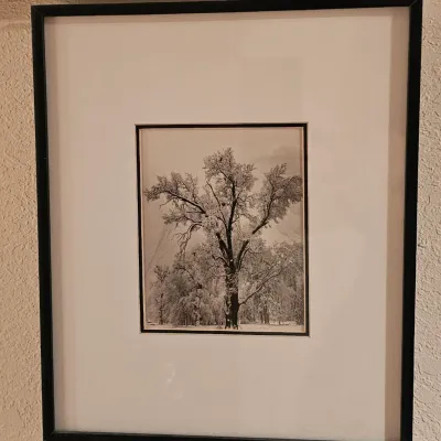 Sale Photo Thumbnail #161