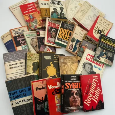 Classic Literature & Fiction Paperback Books Collection, Penguin & Signet Classics