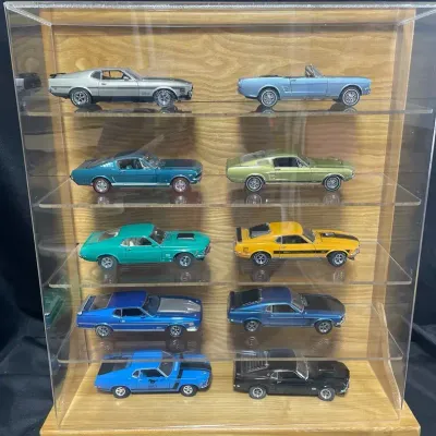 Mystery Lot- Ford Mustang Model Cars