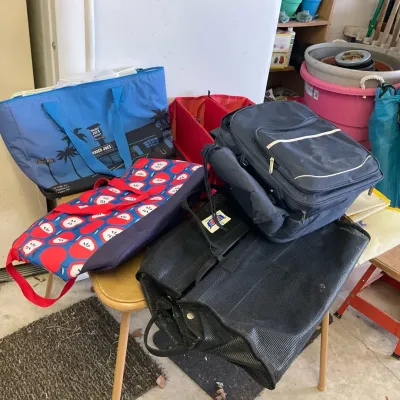 Car Organizer, Mesh Bags & Picnic Tableware Backpack