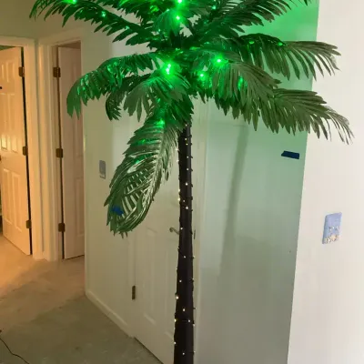 Tall Palm Tree With Lights