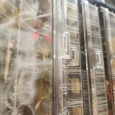 Sale Photo Thumbnail #32